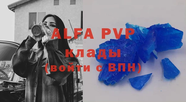 прущие грибы Калининец