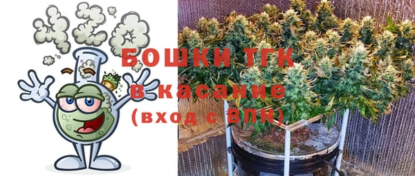 PSILOCYBIN Козловка