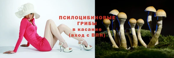 молекула духа Кукмор