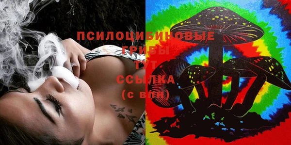 дживик Краснотурьинск