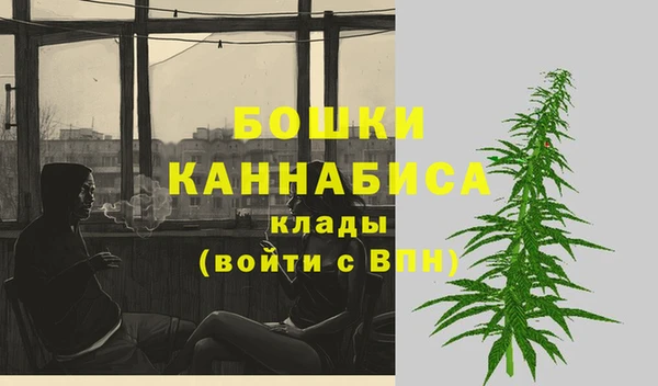 мдпв Барнаул
