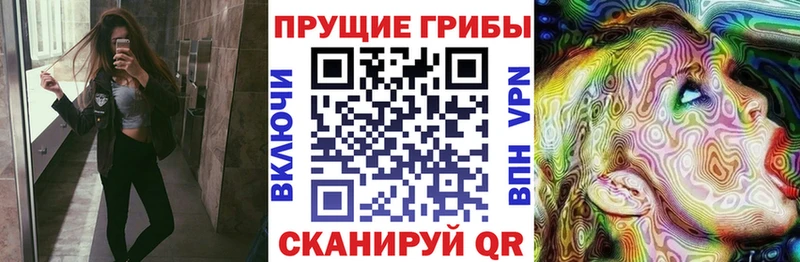 нарко площадка наркотические препараты  Великий Новгород  Псилоцибиновые грибы MAGIC MUSHROOMS 