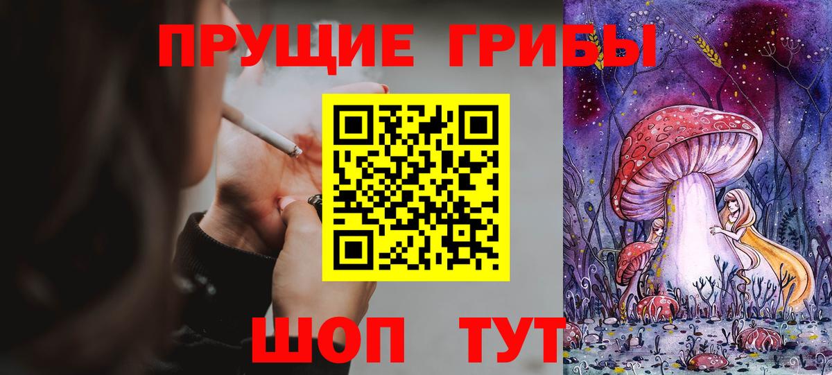 Галлюциногенные грибы прущие грибы Великий Новгород