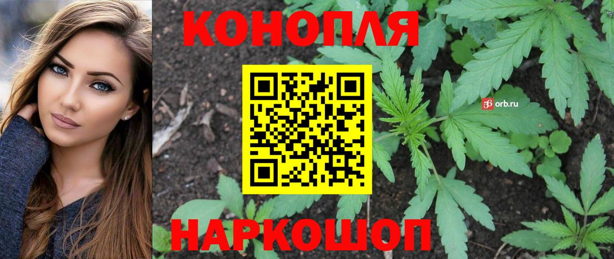 Великий Новгород  Каннабис SATIVA & INDICA  Бошки Шишки VHQ  МАРИХУАНА сатива  Вход с VPN  Бошки Шишки White Widow 